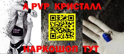 ECSTASY Камышлов