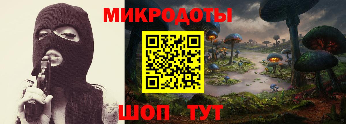 Псилоцибиновые грибы Cubensis  Вход с VPN  Михайловск 